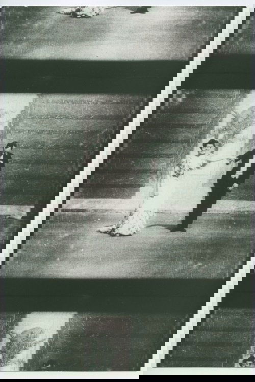 The Merry Widow photo