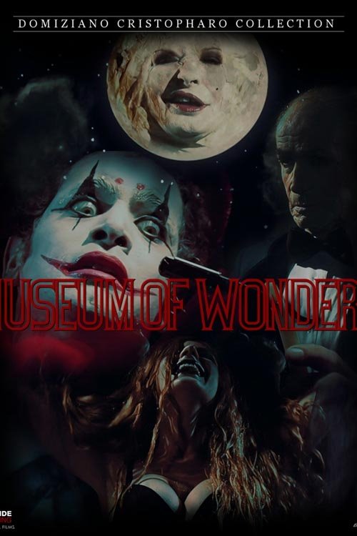 The Museum Of Wonders photo