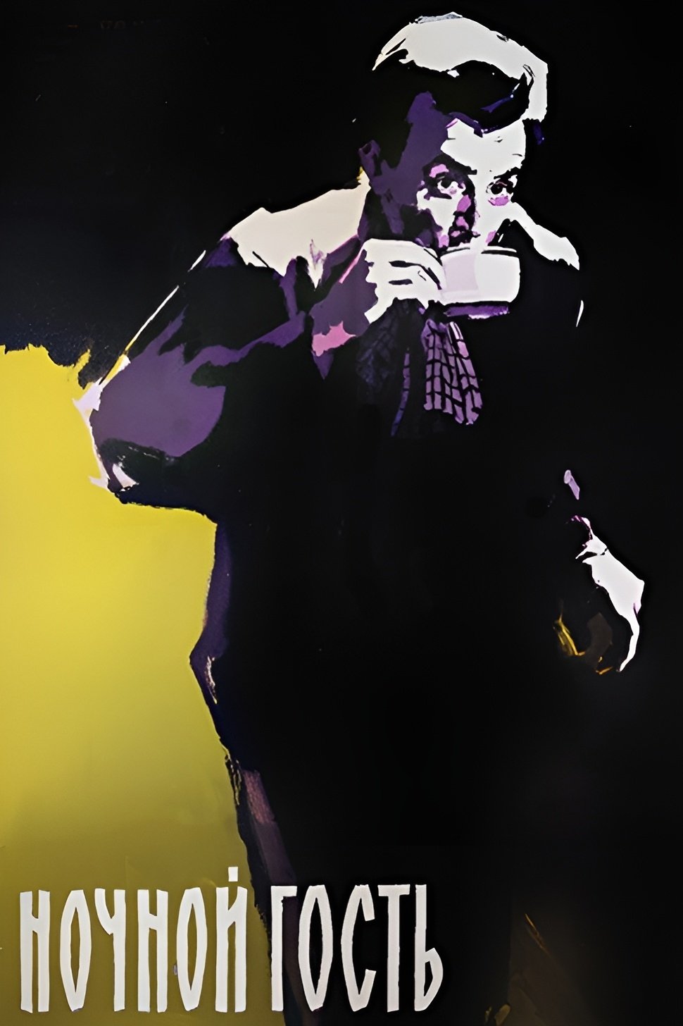 The Night Guest photo