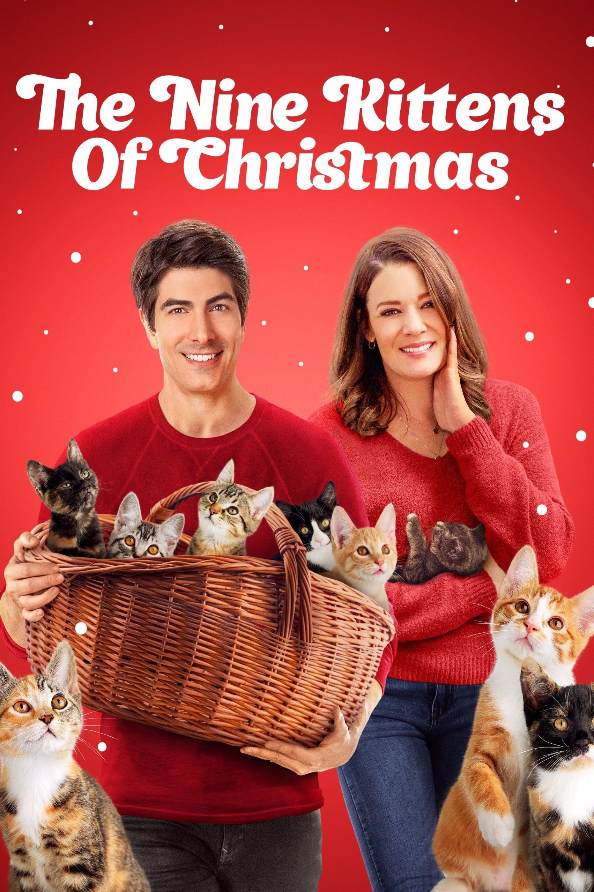 The Nine Kittens of Christmas photo