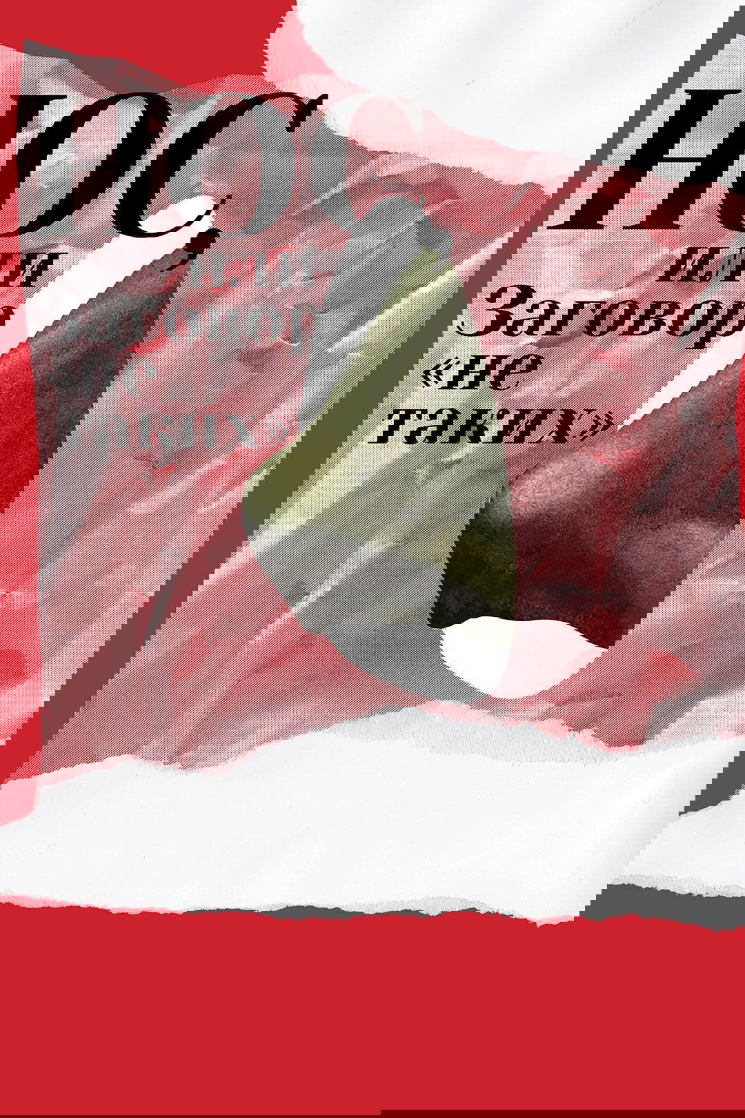 The Nose or Conspiracy of Mavericks photo