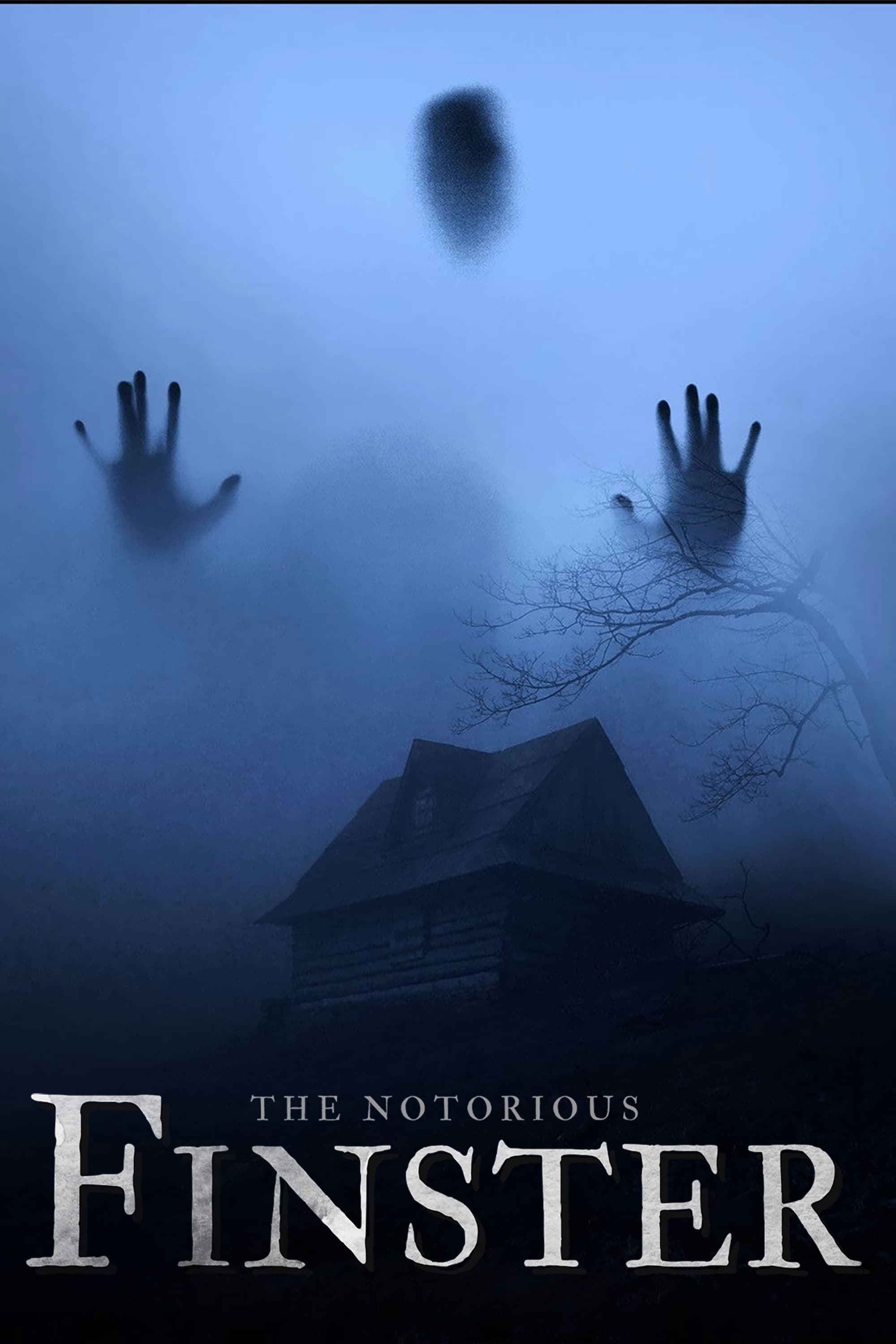 The Notorious Finster photo