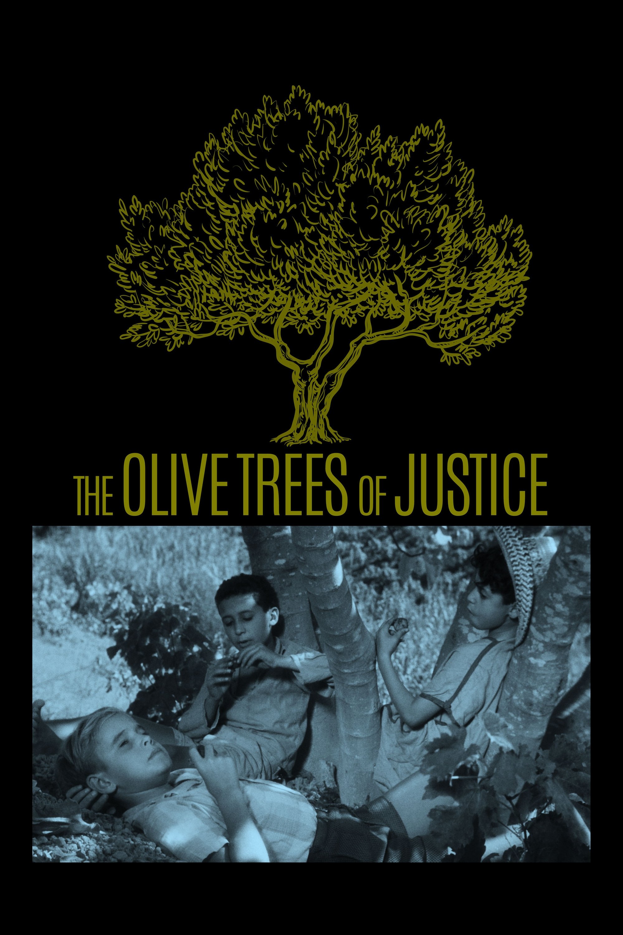 The Olive Trees of Justice photo