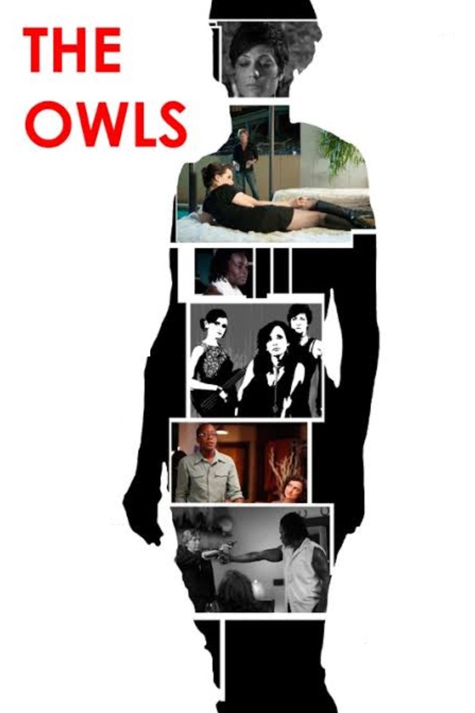 The Owls photo