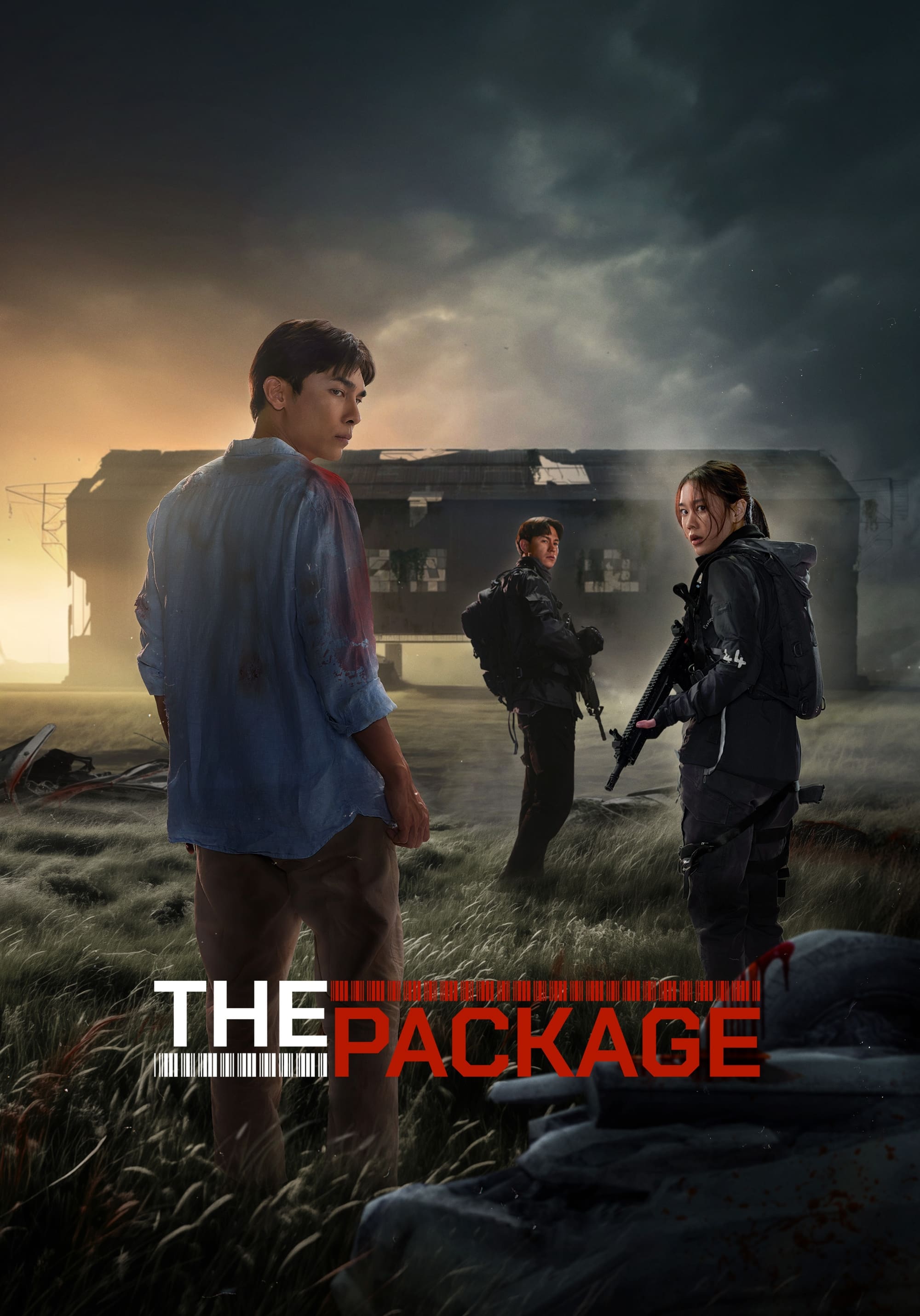 The Package photo