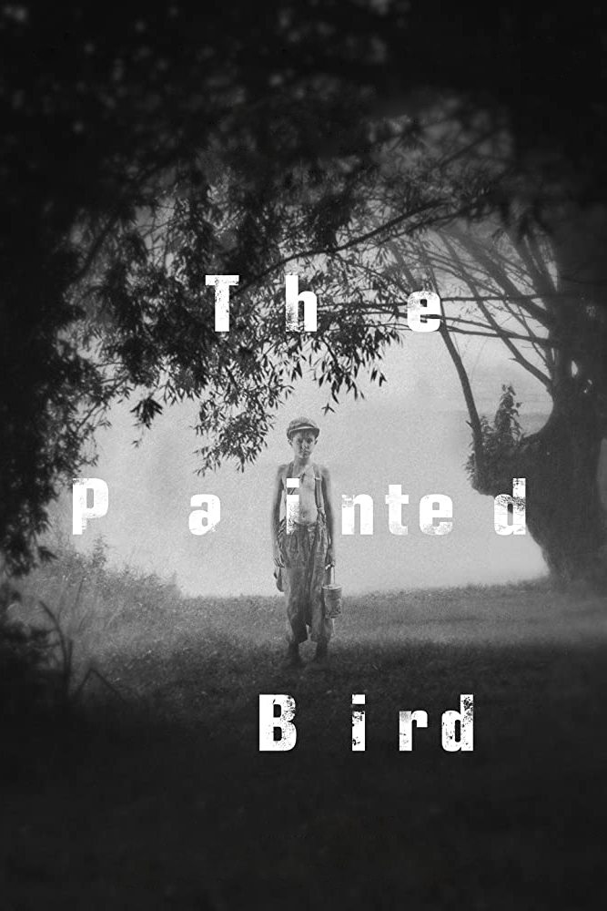 The Painted Bird photo