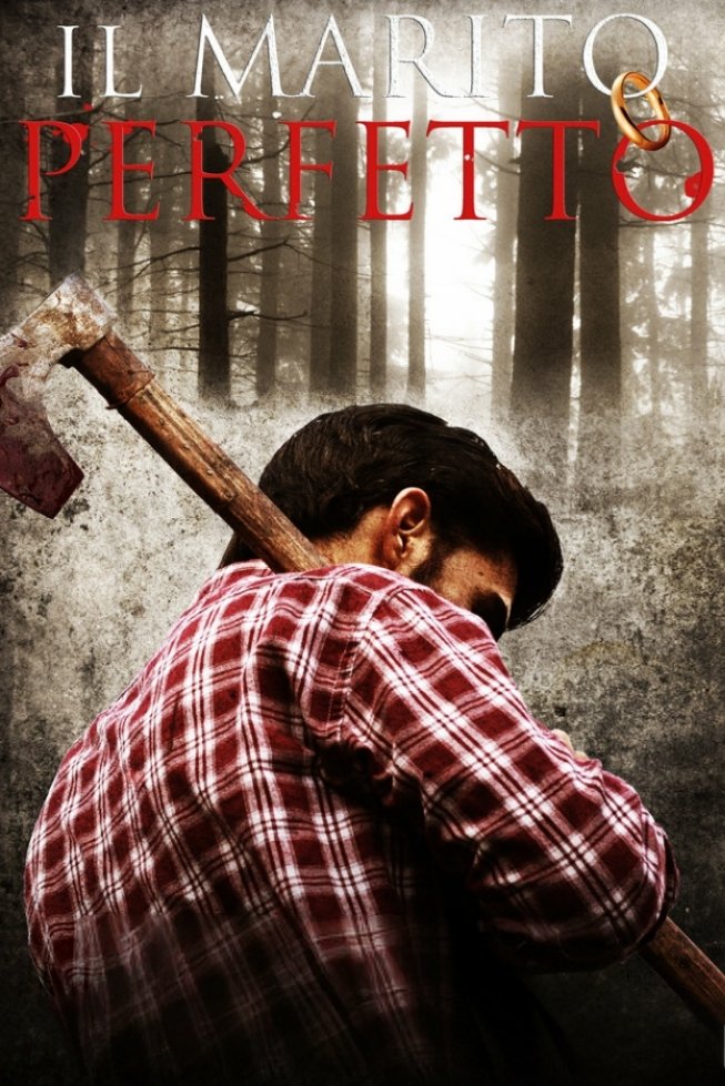 The Perfect Marriage photo