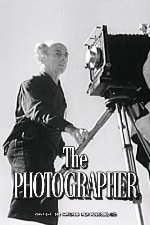 The Photographer photo
