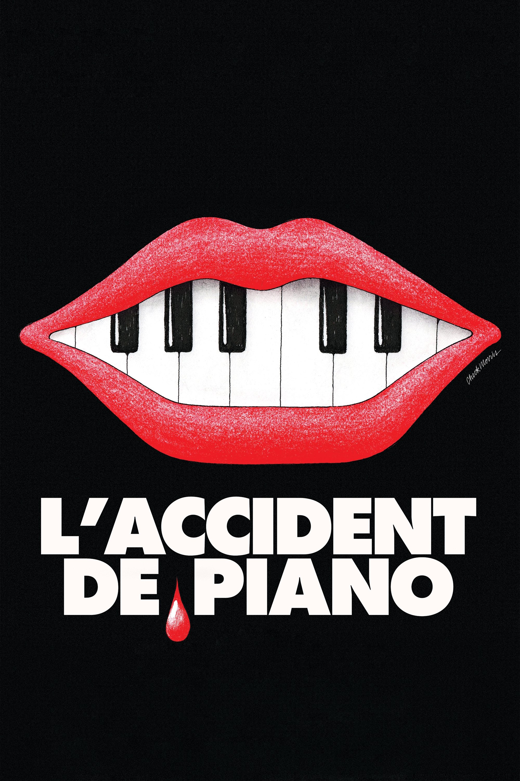 The Piano Accident photo