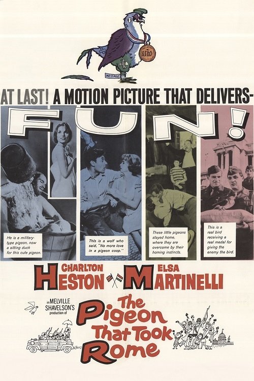 The Pigeon That Took Rome photo