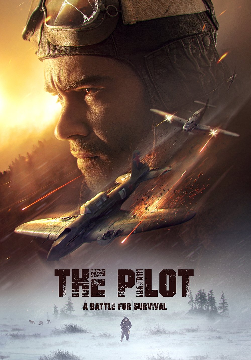 The Pilot: A Battle for Survival photo