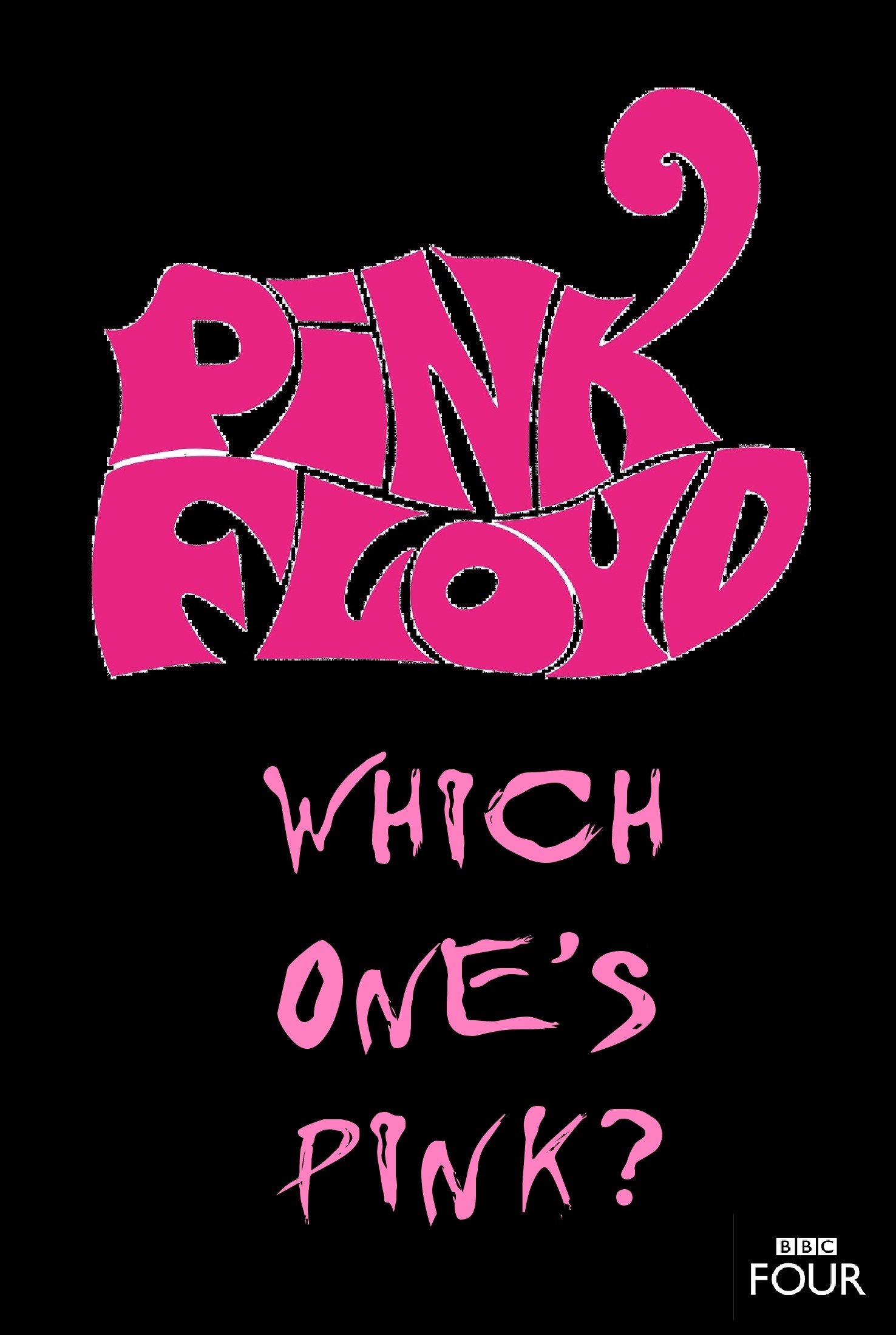 The Pink Floyd Story: Which One's Pink? photo
