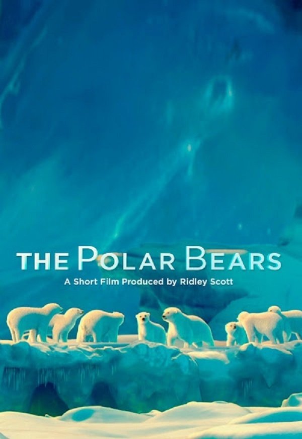 The Polar Bears photo
