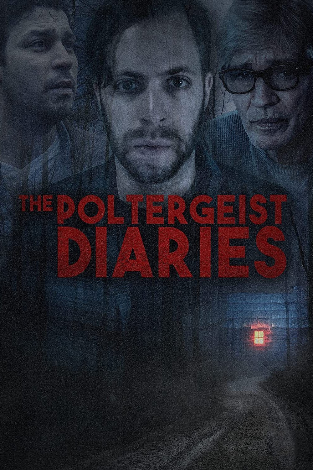 The Poltergeist Diaries photo