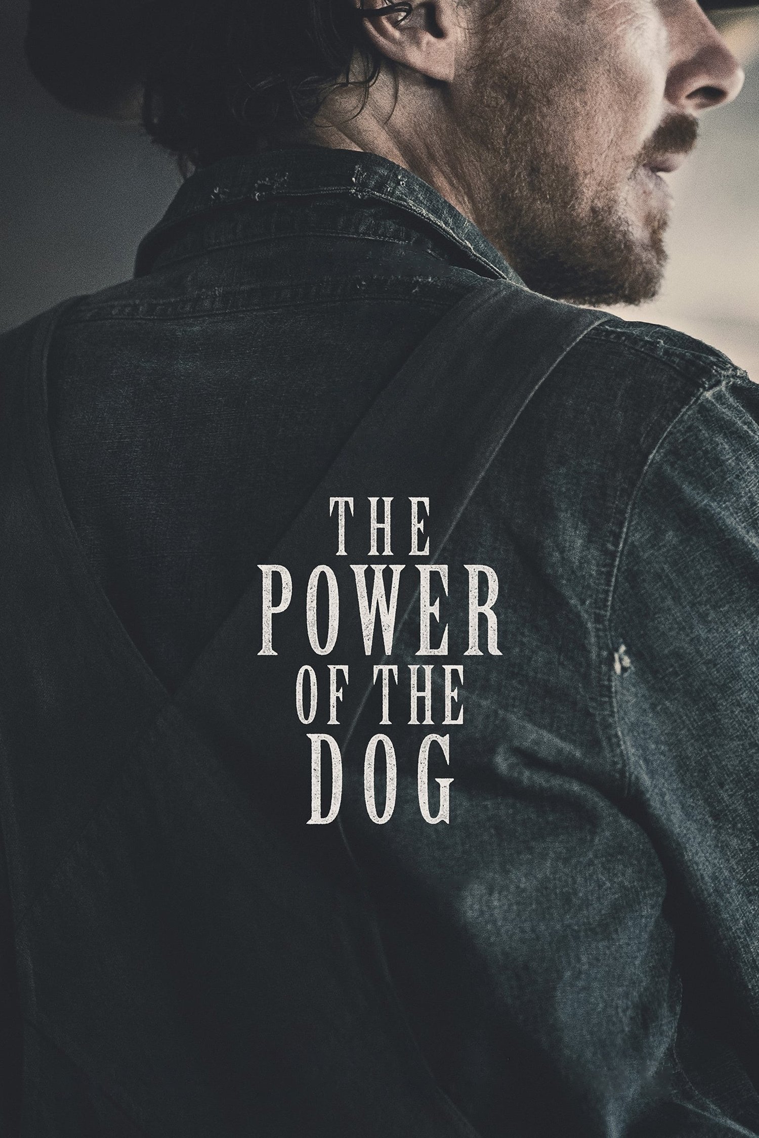 The Power of the Dog photo