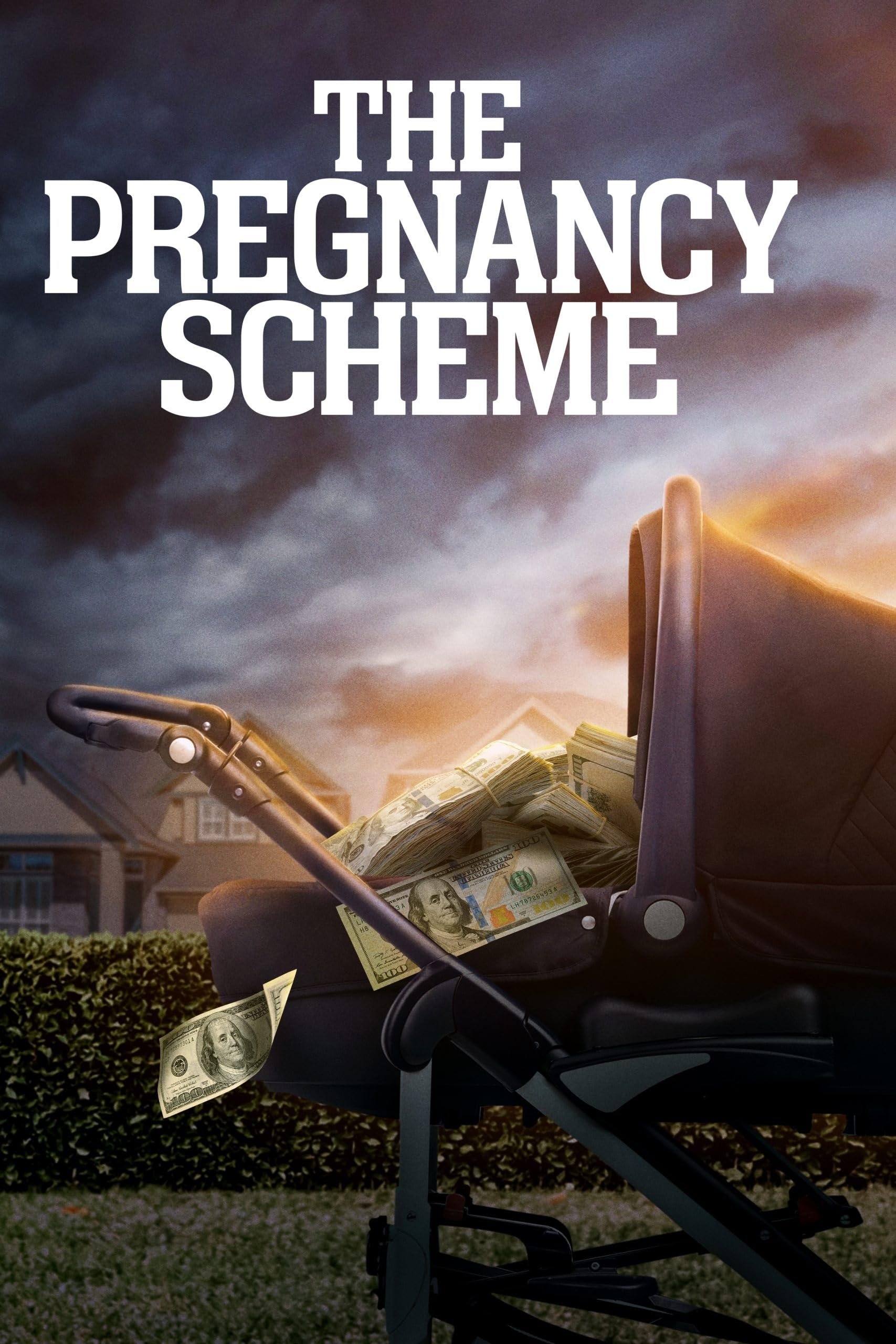 The Pregnancy Scheme photo