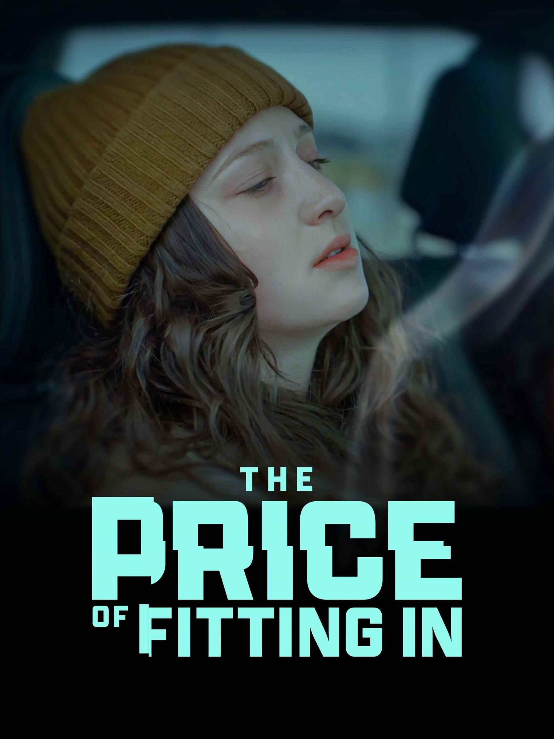 The Price of Fitting In photo