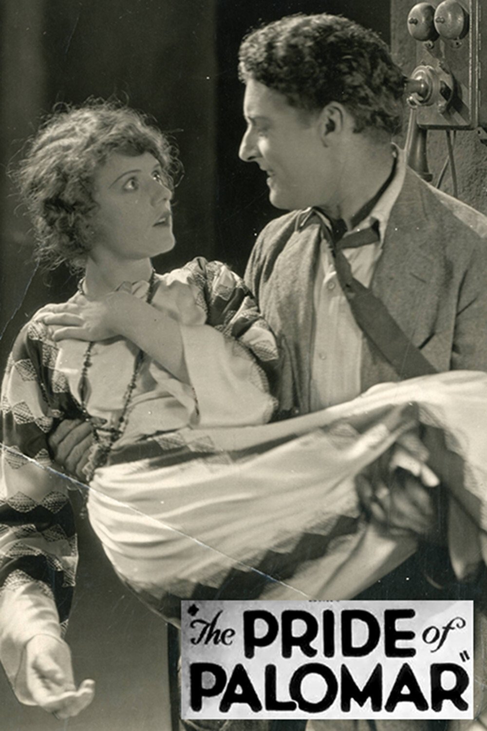 The Pride of Palomar photo