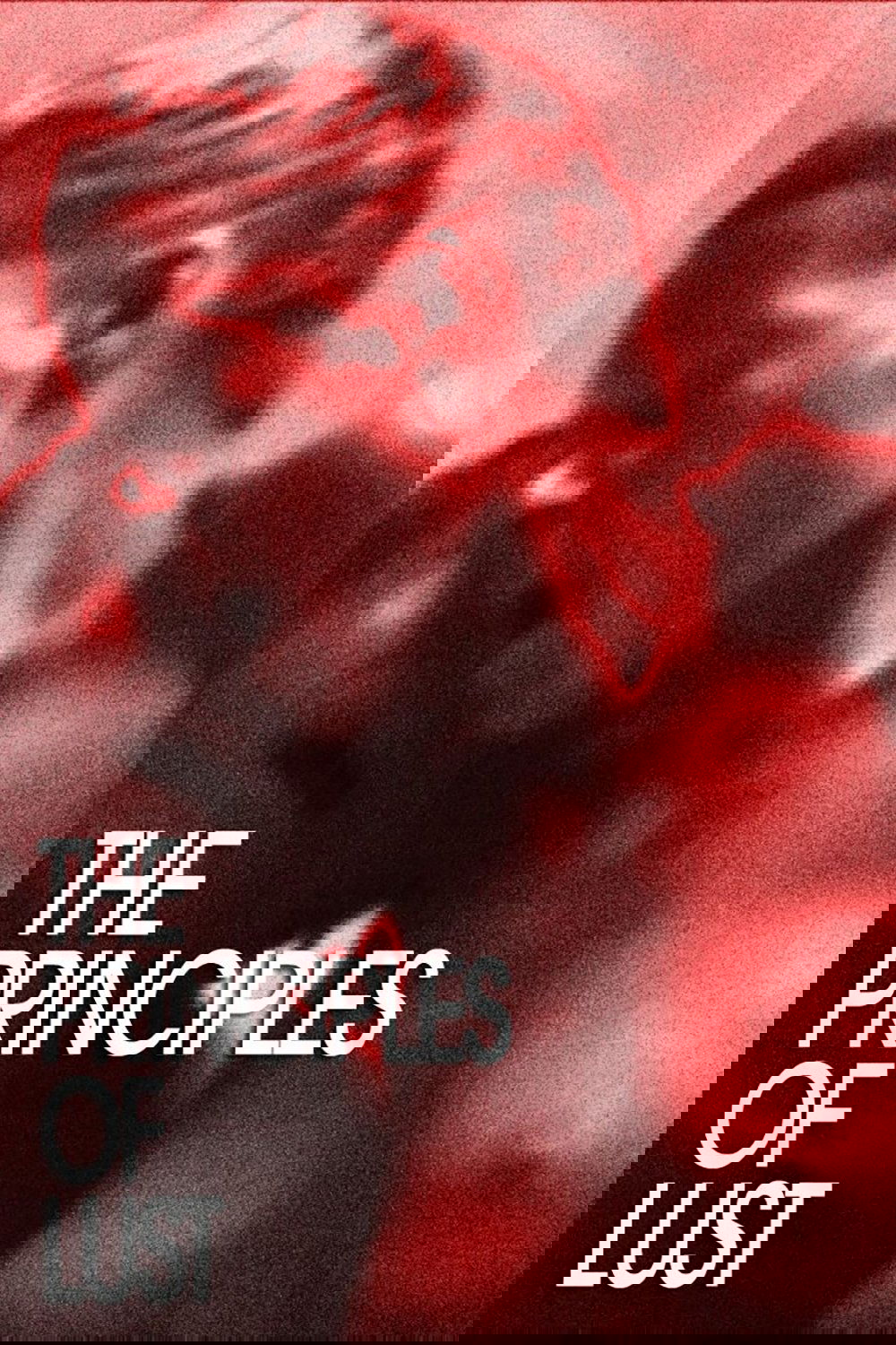 The Principles of Lust photo