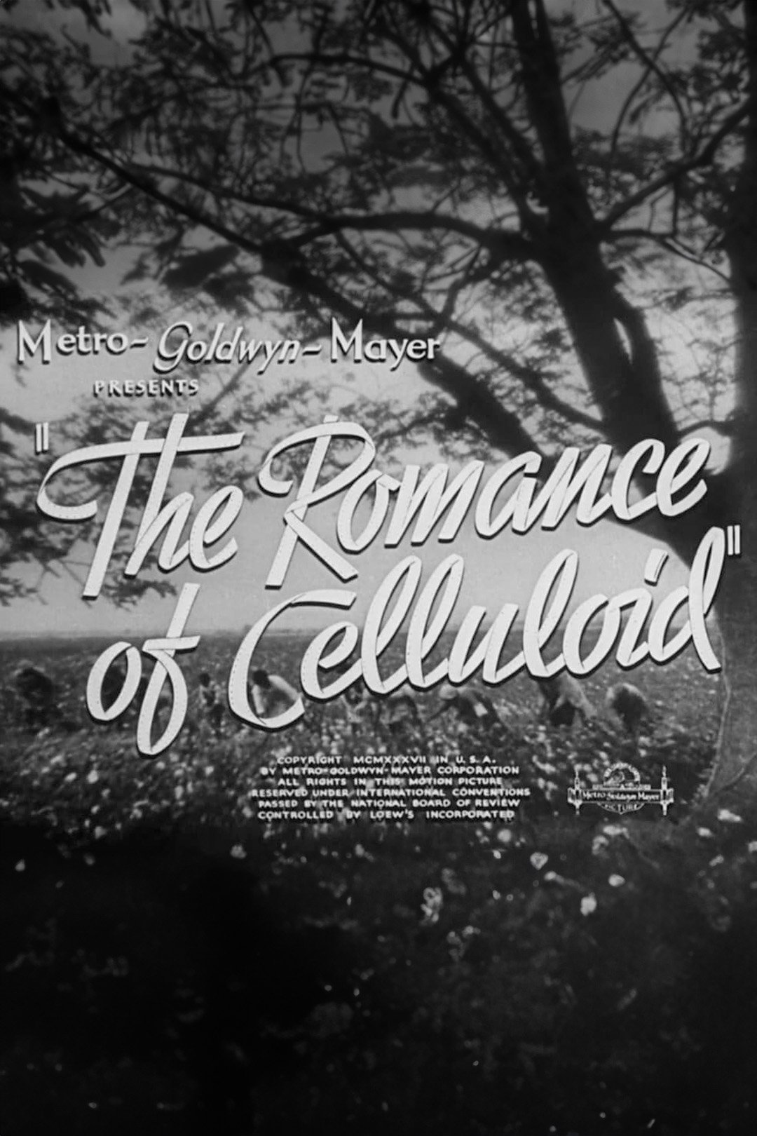 The Romance of Celluloid photo