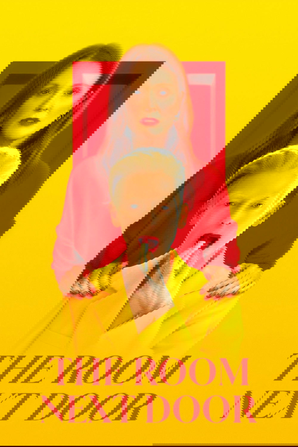 The Room Next Door photo