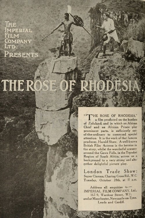 The Rose of Rhodesia photo