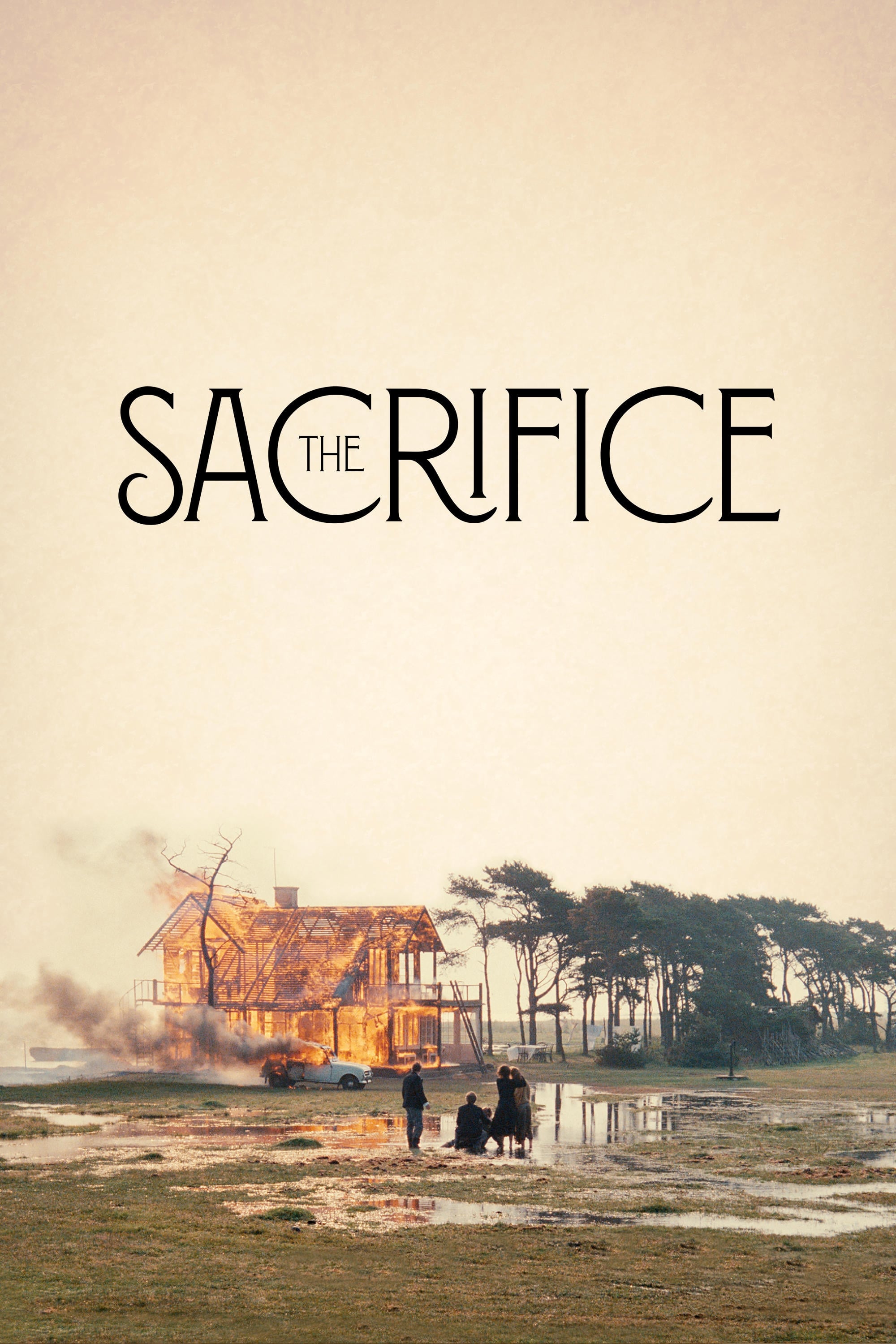 The Sacrifice photo