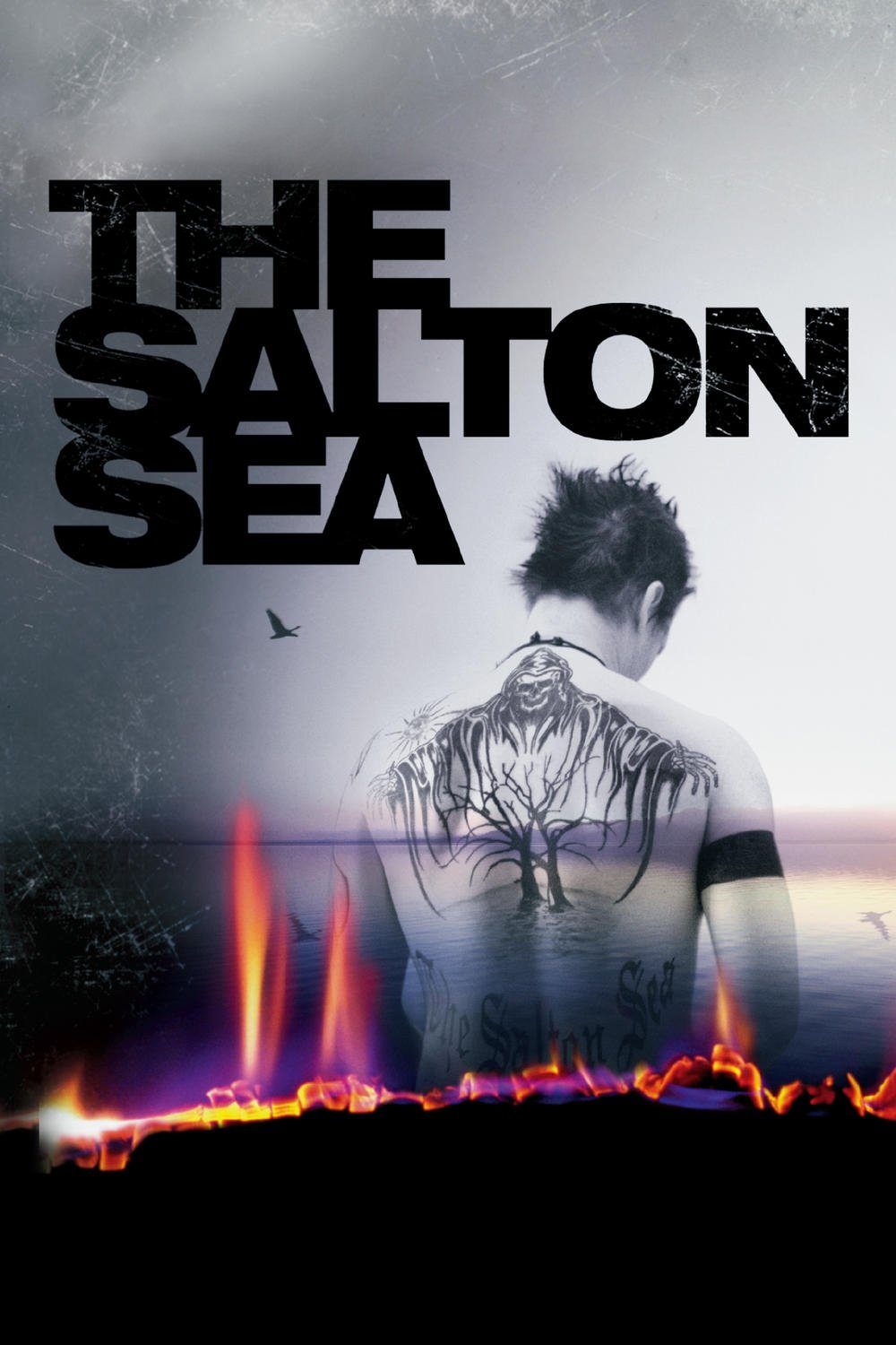 The Salton Sea photo