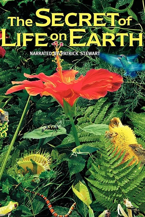 The Secret of Life on Earth photo