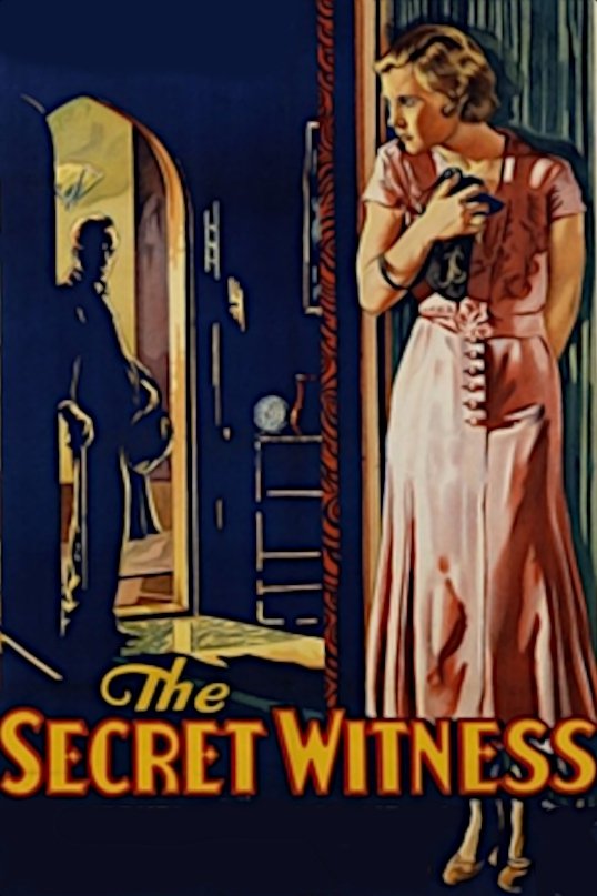 The Secret Witness photo