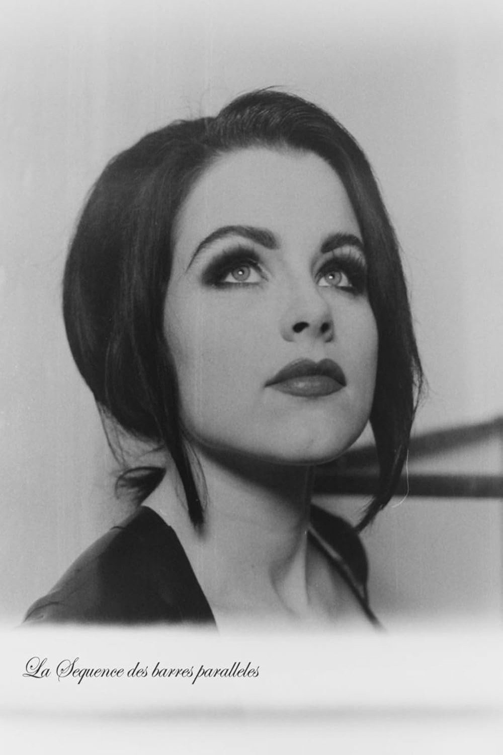 The Sequence of Parallel Bars photo