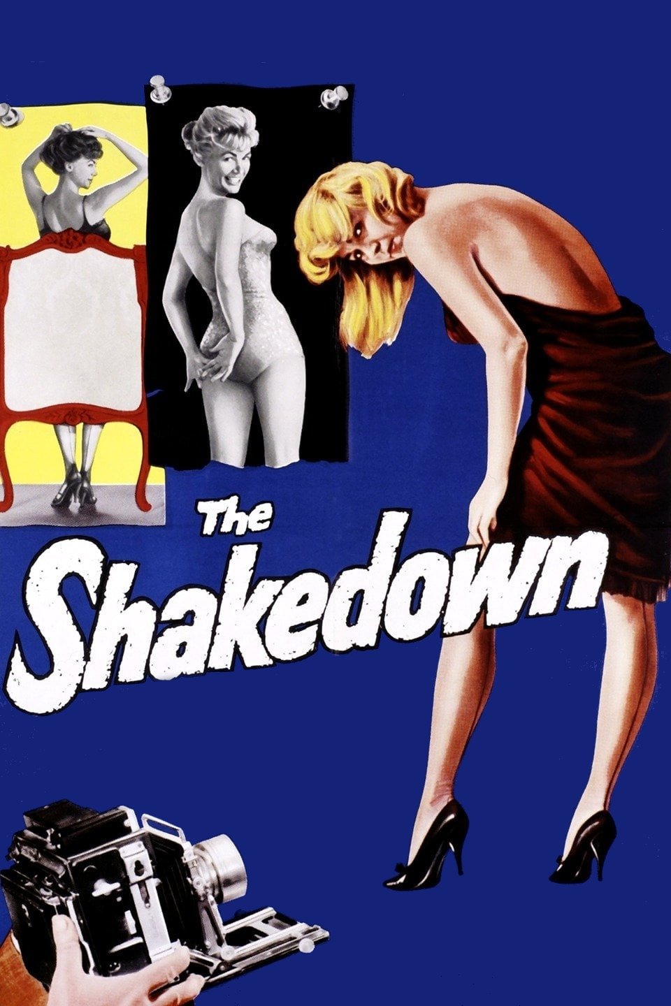 The Shakedown photo