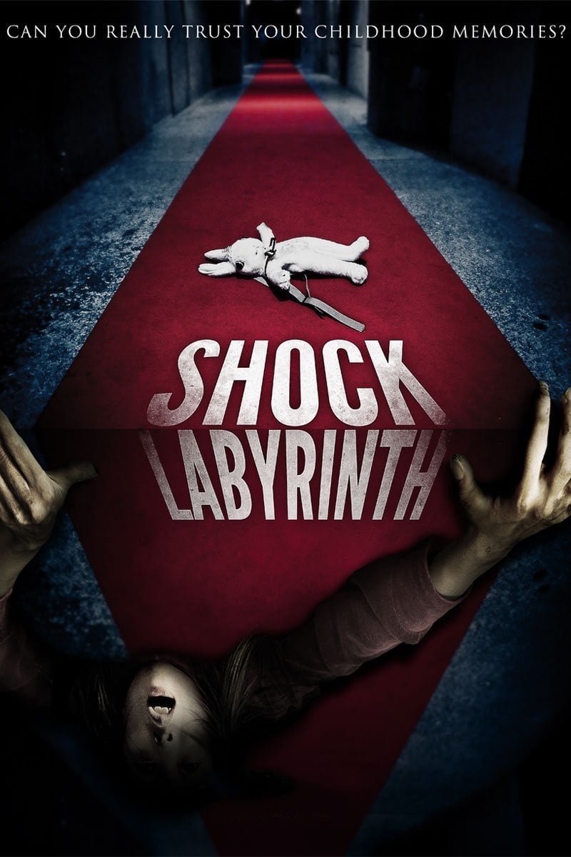 The Shock Labyrinth photo