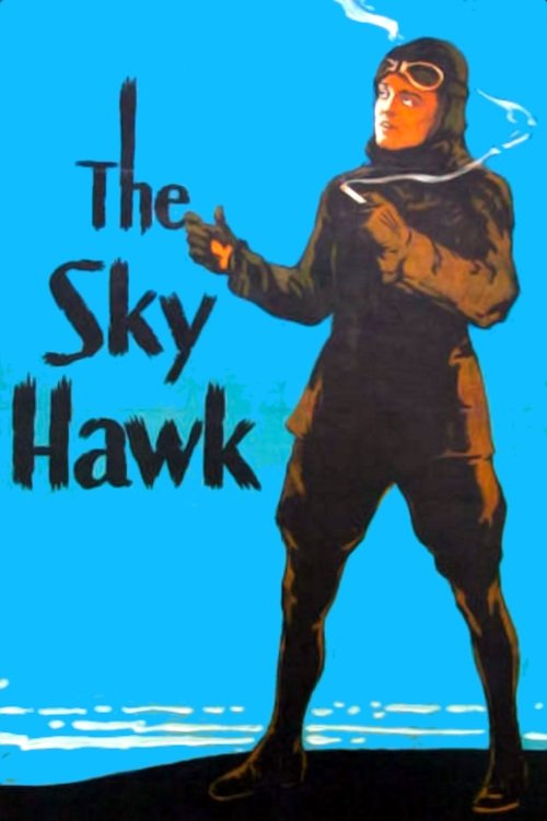 The Sky Hawk photo