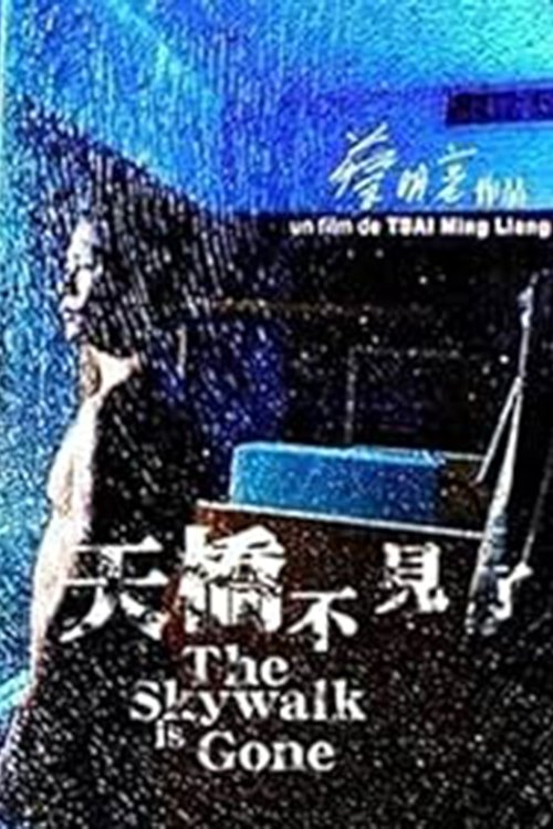 The Skywalk Is Gone photo