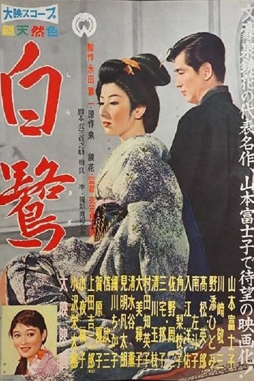 The Snowy Heron photo