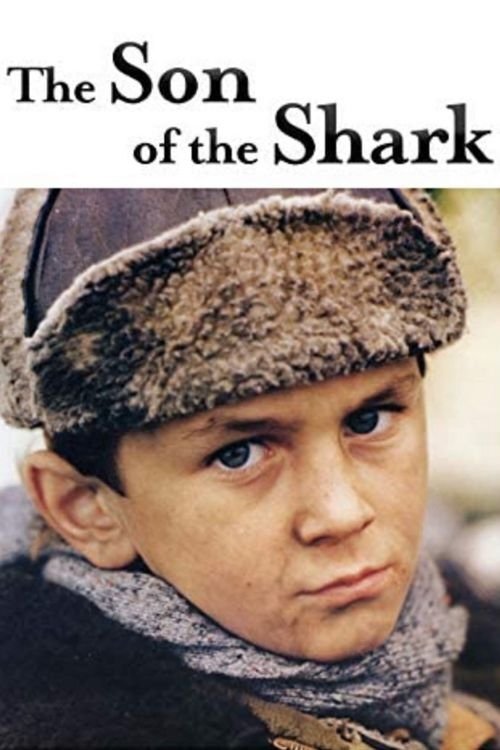 The Son of the Shark photo