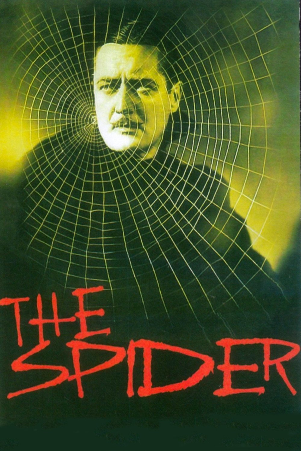 The Spider photo