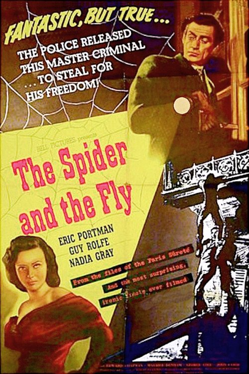 The Spider and the Fly photo