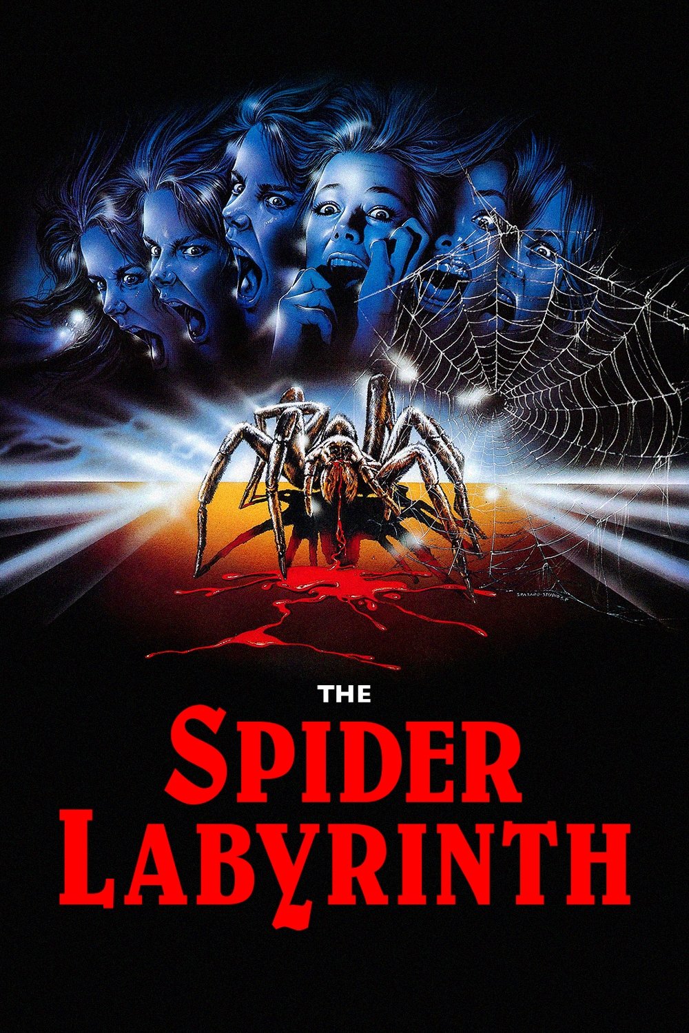 The Spider Labyrinth photo