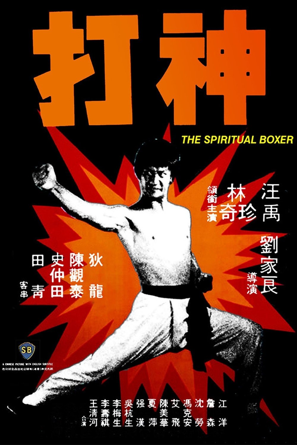 The Spiritual Boxer photo