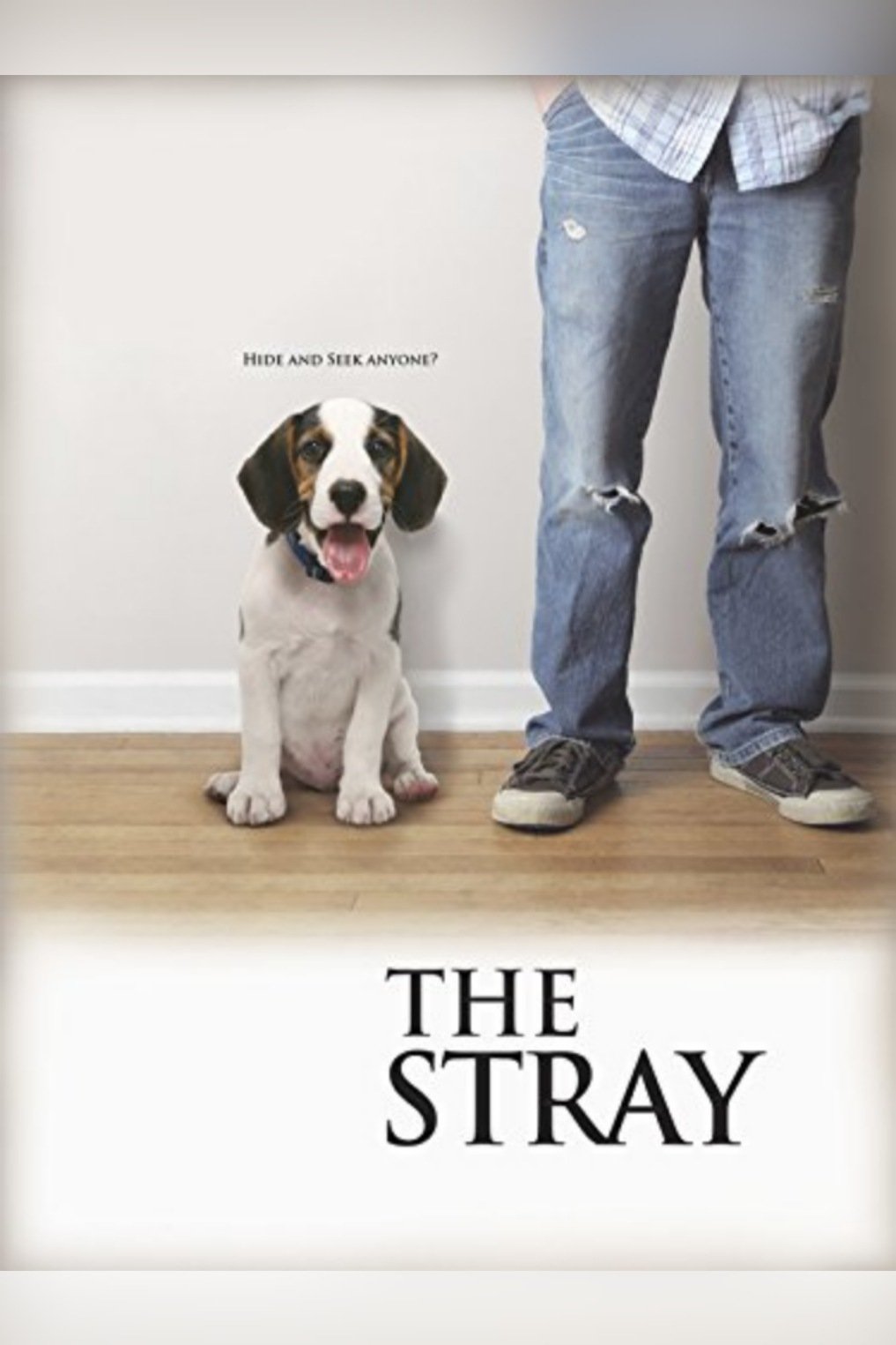 The Stray photo