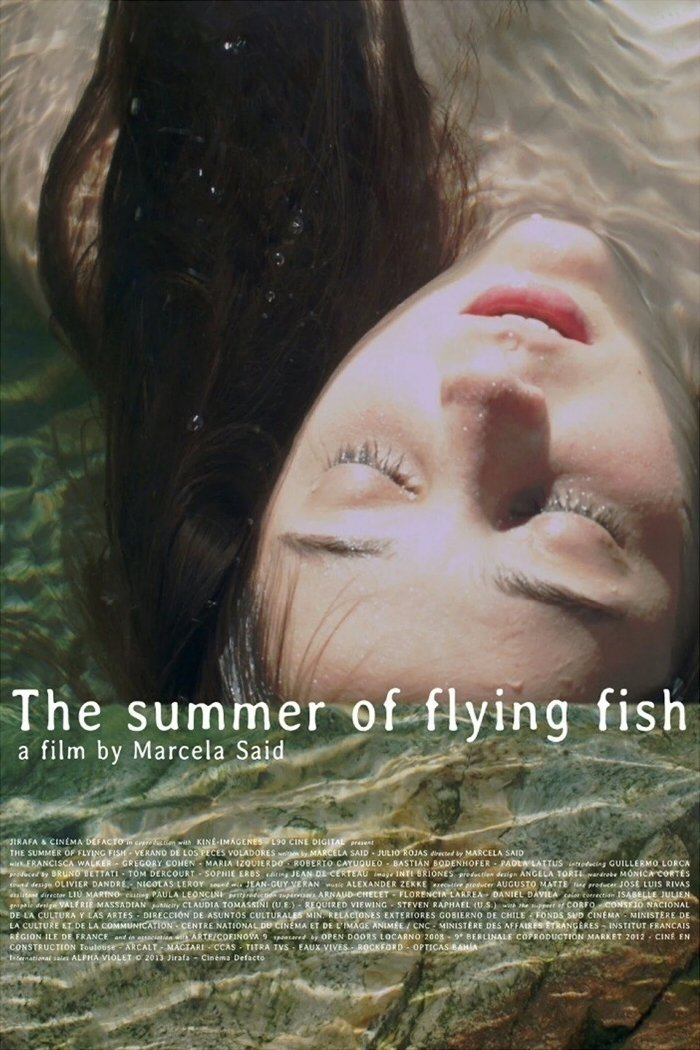 The Summer of Flying Fish photo