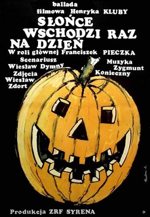 The Sun Rises Once a Day photo