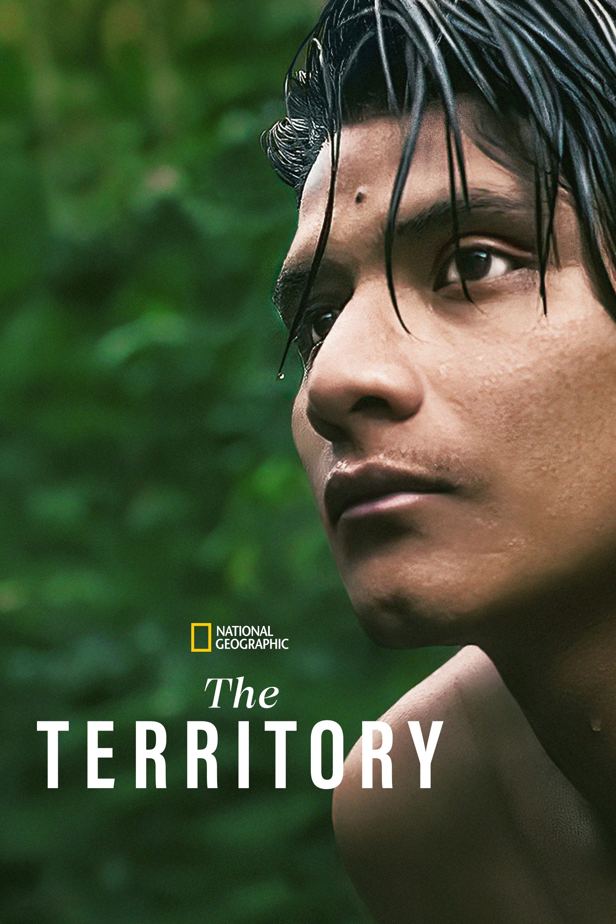 The Territory photo
