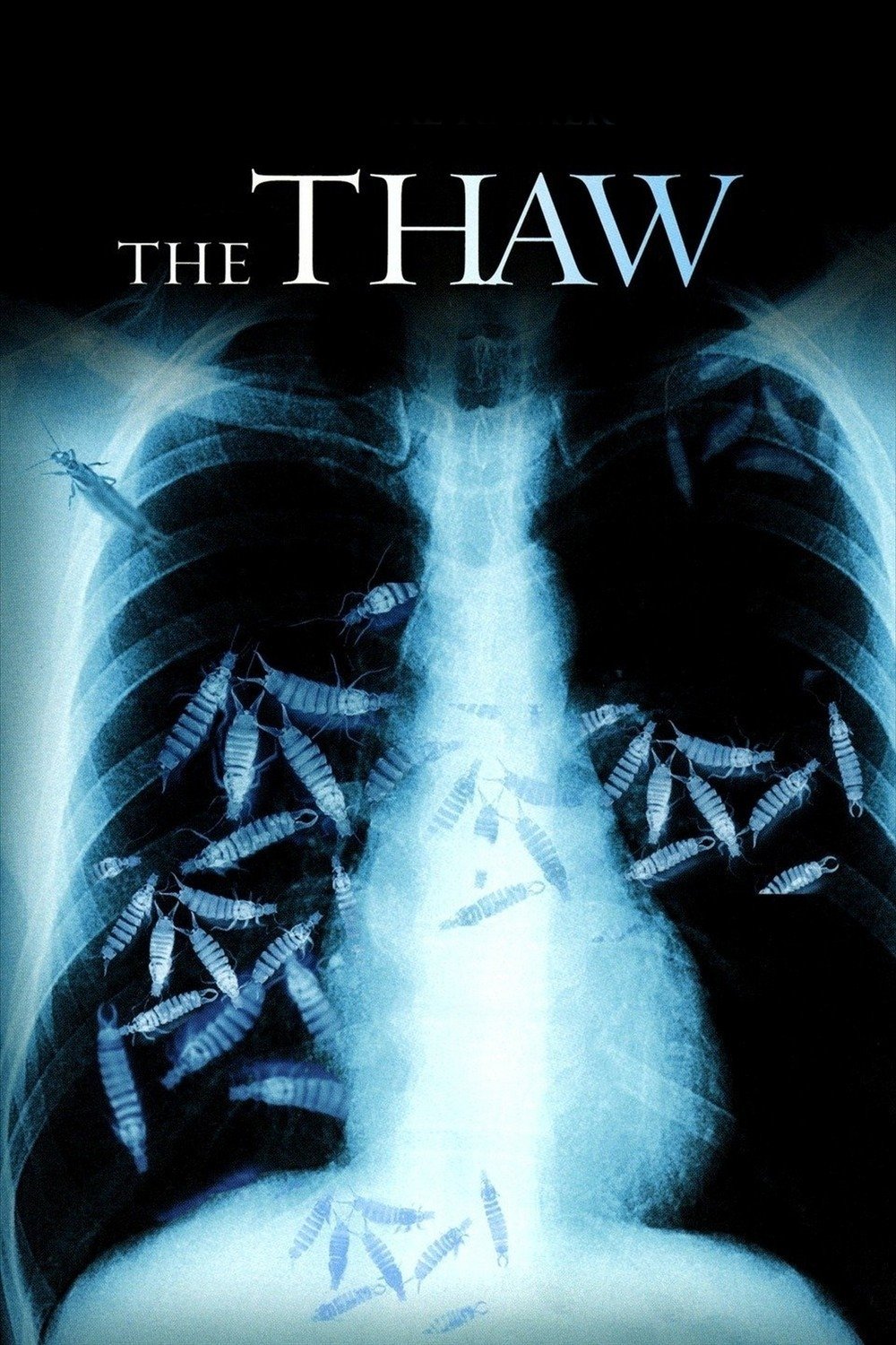 The Thaw photo