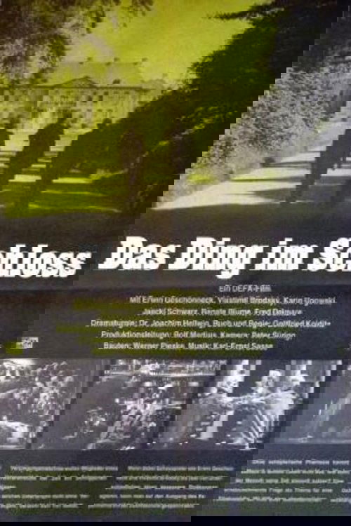 The Thing in the Castle photo