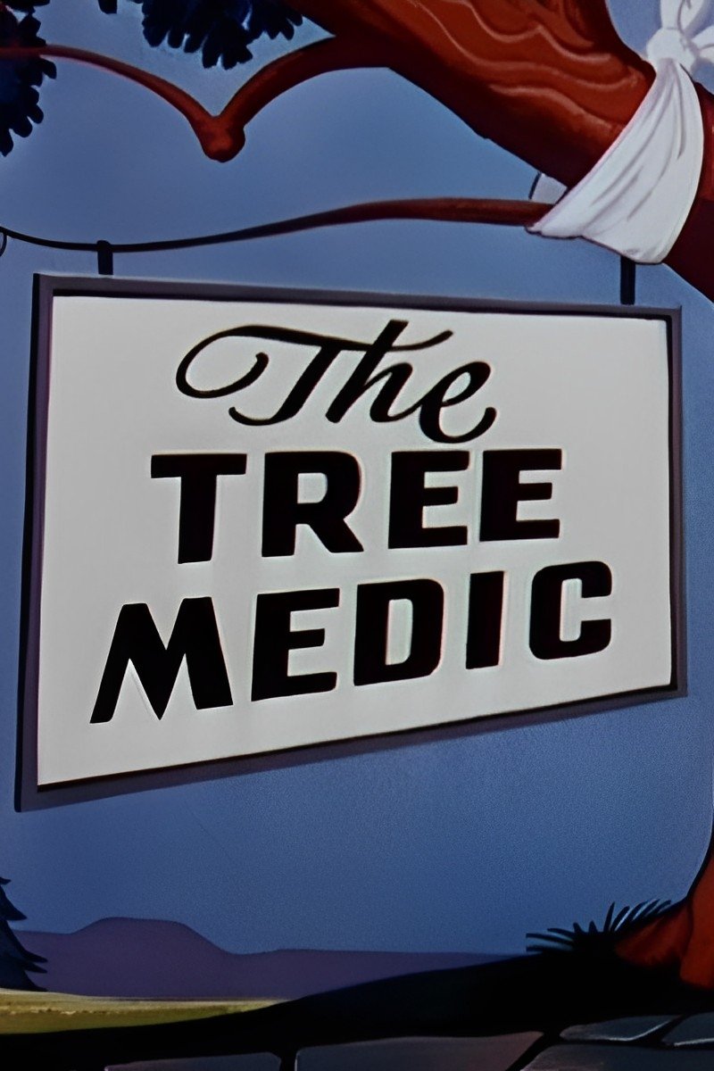 The Tree Medic photo