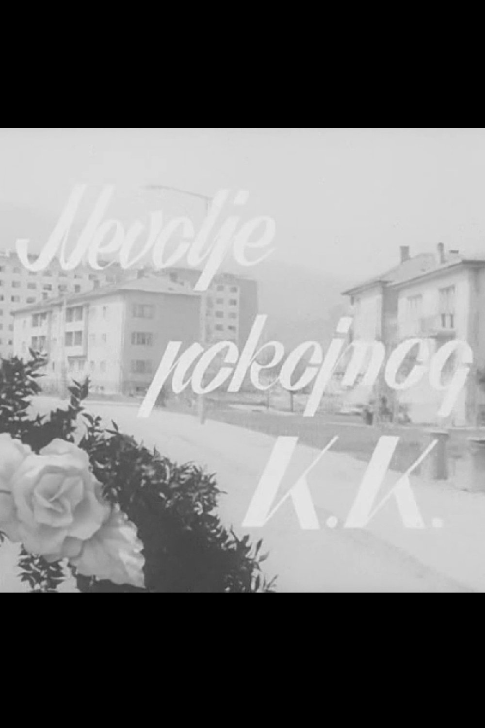 The Troubles of the Late K.K. photo