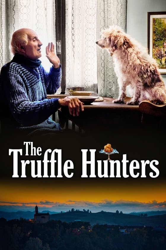 The Truffle Hunters photo